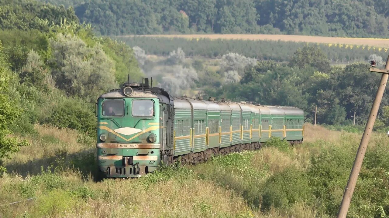 Поезд зеленый фото An old green locomotive with green wagons makes its way through the grass - YouT