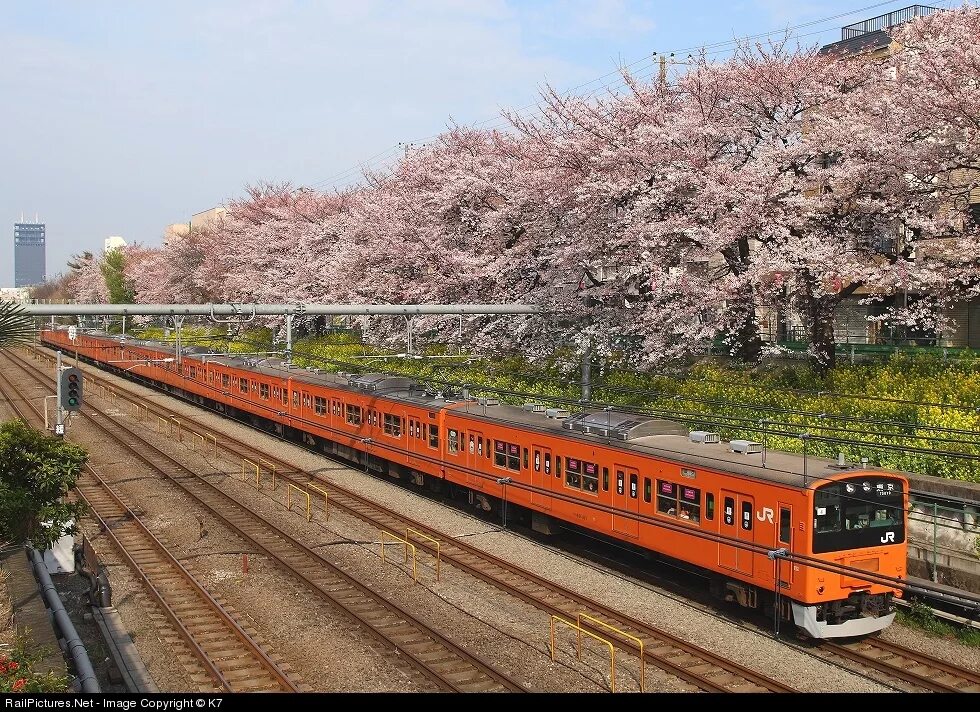 Поезда японии фото RailPictures.Net Photo: Japan Railways (JR) series 201 EMU at Tokyo, Japan by K7