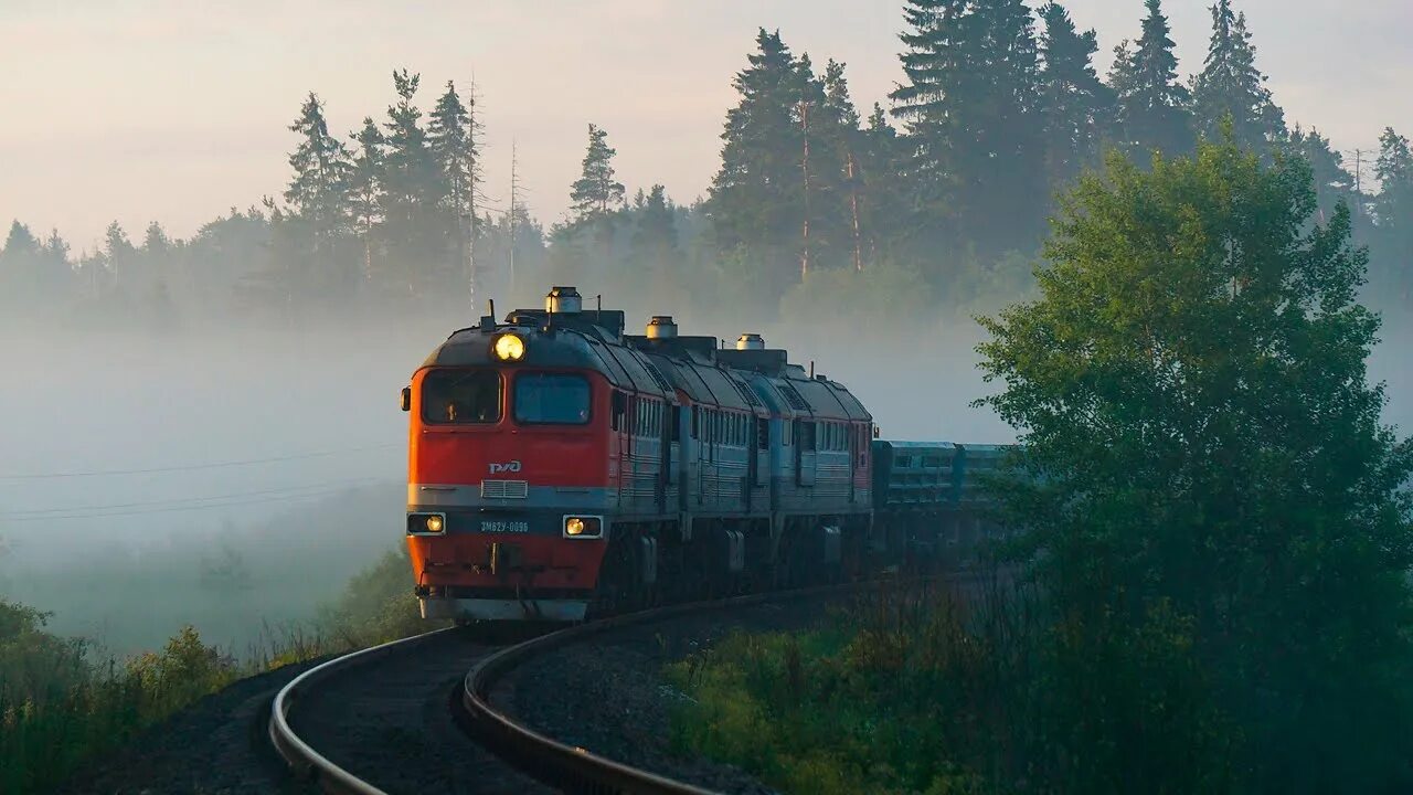 Поезда железнодорожные фото Белые ночи. 3М62У-0096 (РЖД, Хийтола) - YouTube