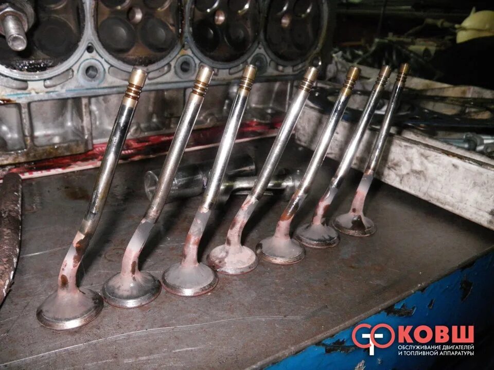 Погнутые клапана двигателя фото оборвало ремень ГРМ ((( - Lada Приора седан, 1,6 л, 2009 года визит на сервис DR
