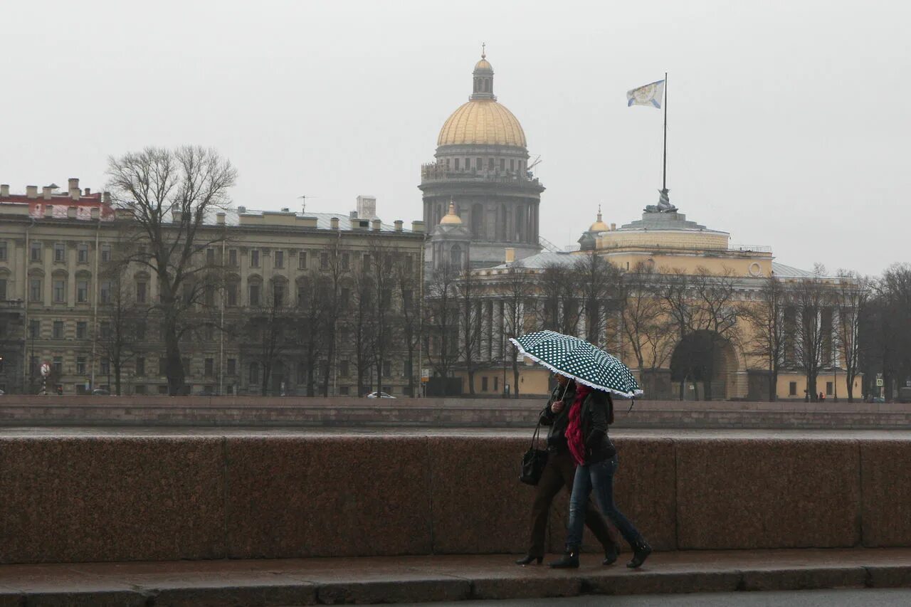 Погода в питере сегодня фото МЧС: в субботу в Петербурге усилится ветер и пойдет мокрый снег с дождем