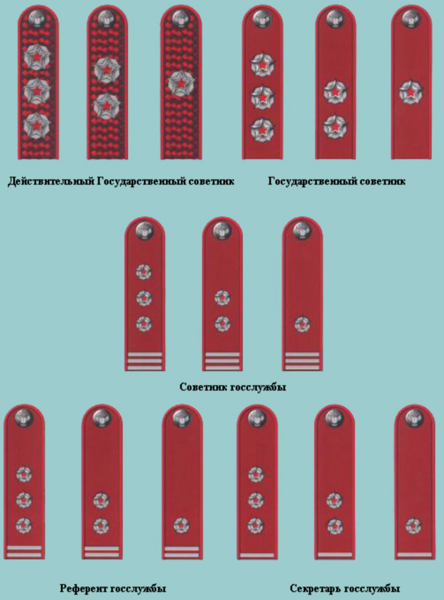Погоны государственной гражданской службы фото Гражданские в погонах: Роспотребнадзор Милитарист 24/7 Дзен