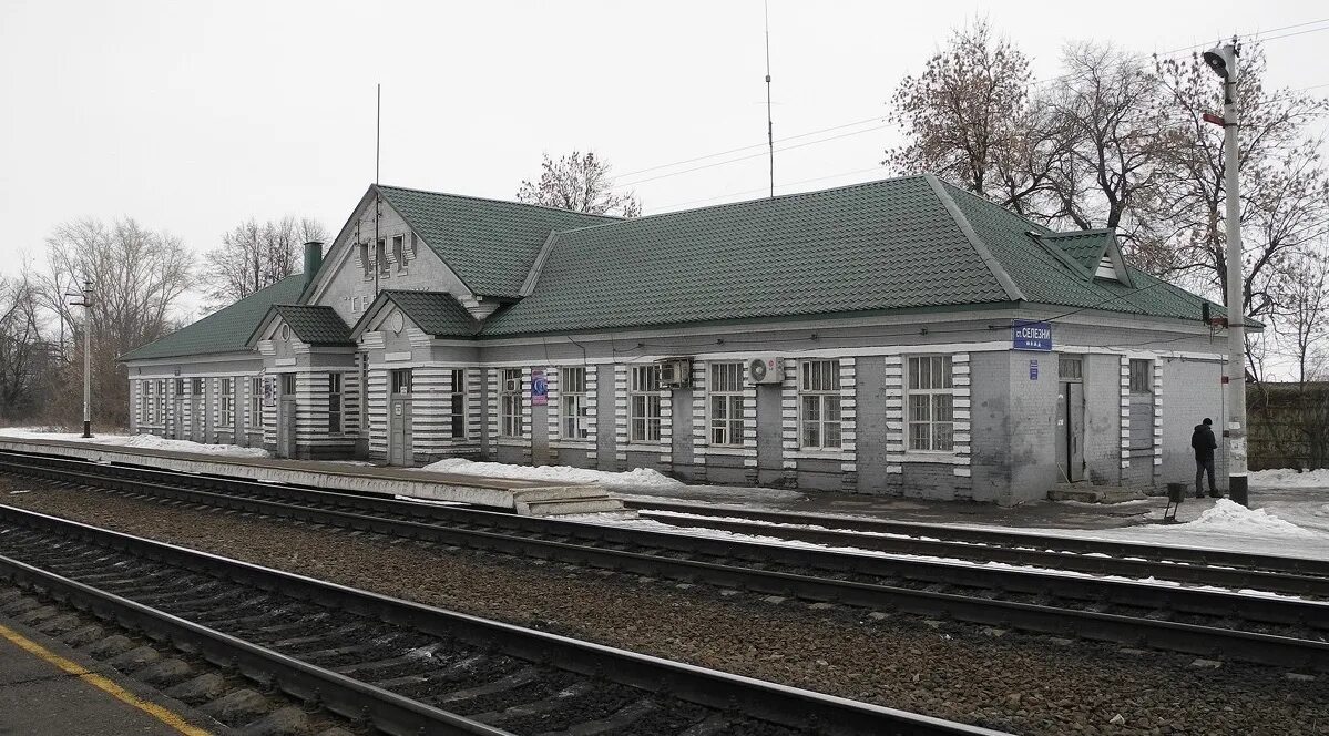 Погорелов сергей станция селезни тамбовская область фото Файл:Селезни (станция), Тамбовская область, 7.jpg - Энциклопедия нашего транспор
