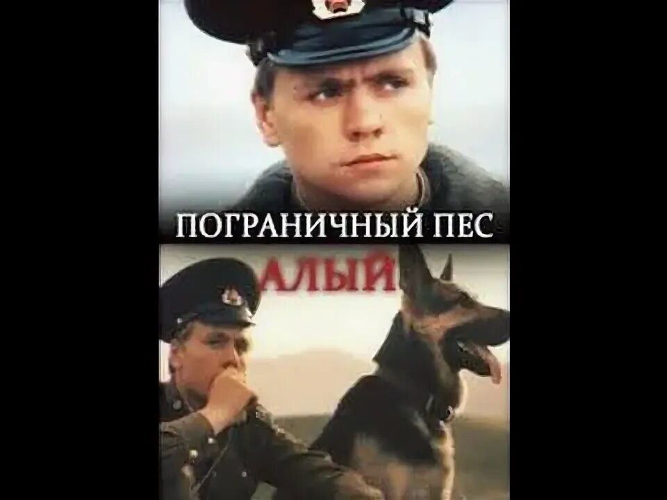 Пограничный пес алый книга фото Отличный фильм для детей и взрослых "Пограничный пес Алый" / 1979 - YouTube Yout