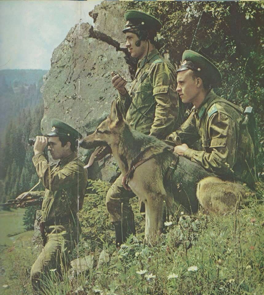 Погранвойска ссср фото Pinterest