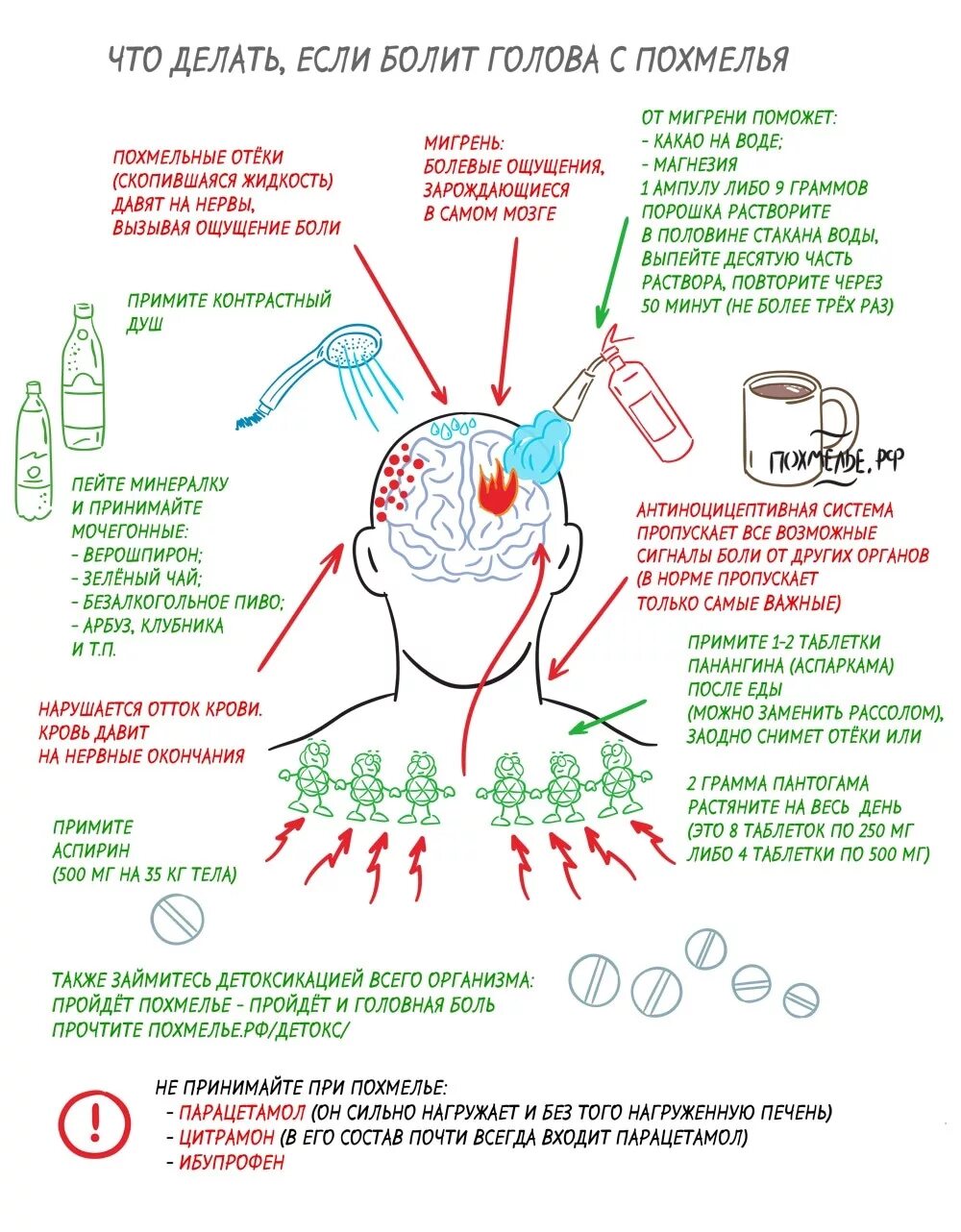 Похмелье как облегчить свое состояние в домашних Болит голова с похмелья что выпить