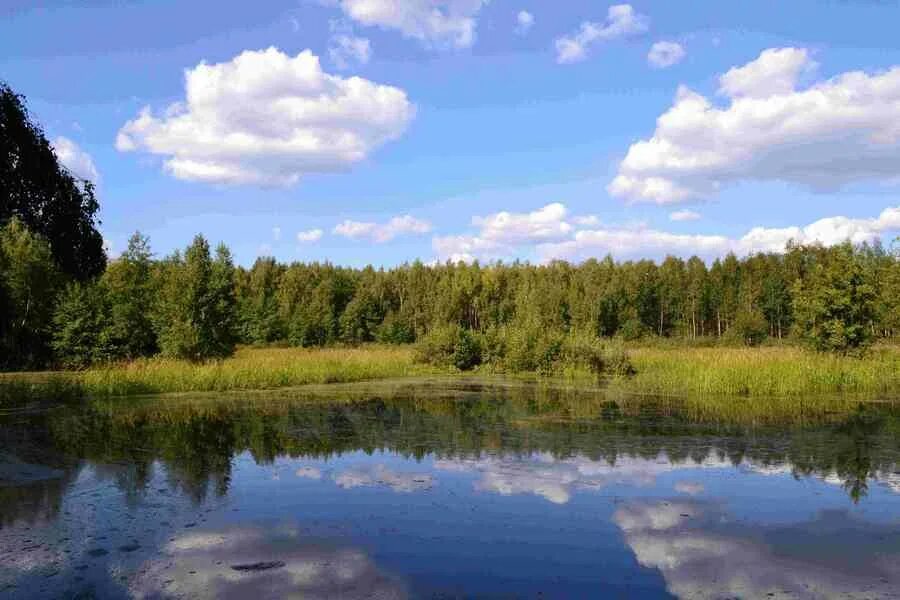 Поход на озеро карасово шатурский район фото Охота и рыбалка в Шатуре - Коммерческие приглашения на охоту, рыбалку, отдых - Ф