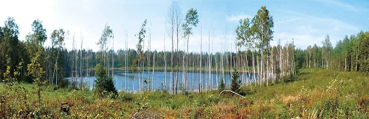 Поход на озеро карасово шатурский район фото From Chicxulub to Chelyabinsk #Cosmic Catastrophes on the Earth