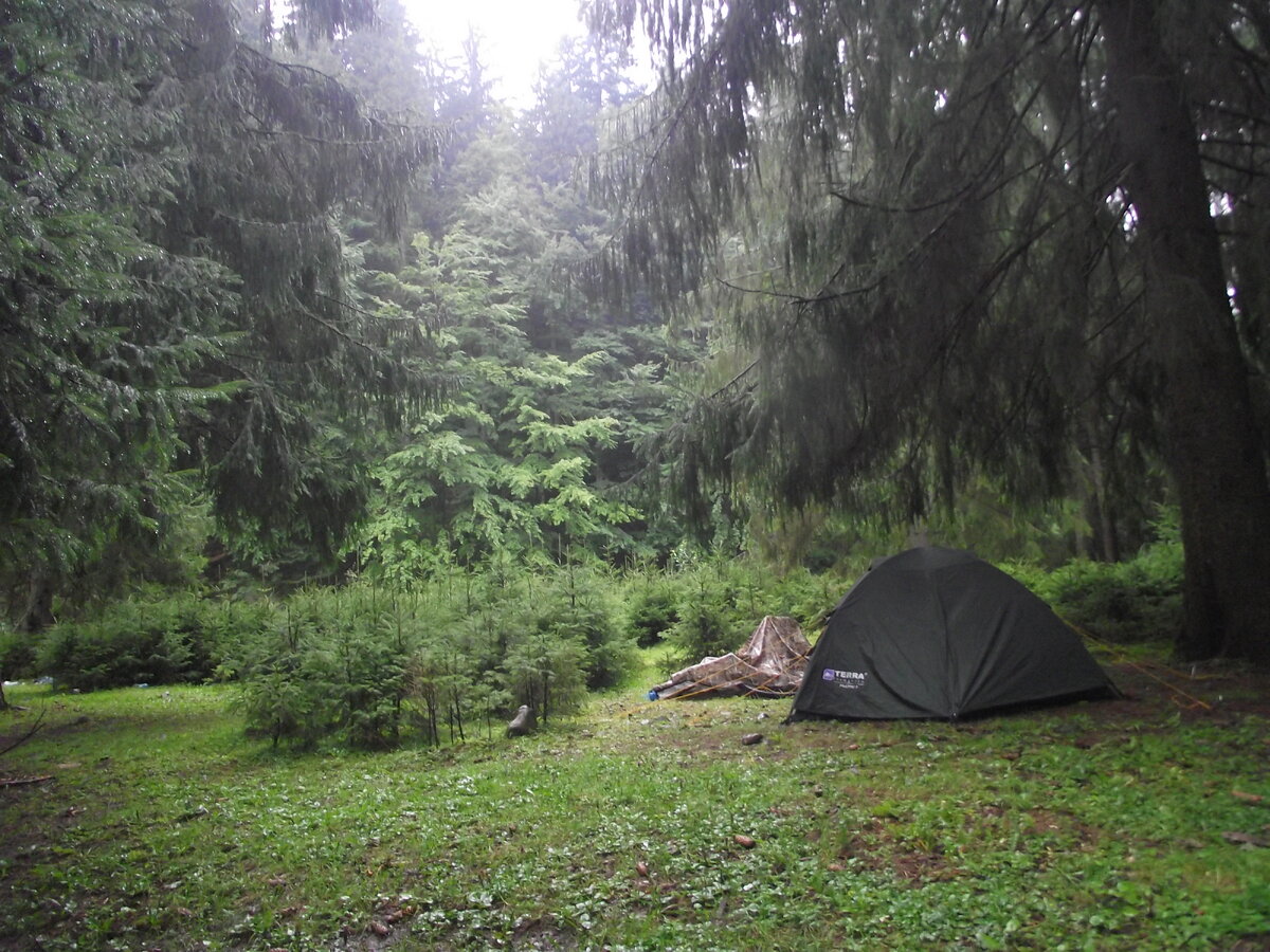 Походы в лесу фото Самое необходимое снаряжение для небольших влазок на природу Forest survival Дзе