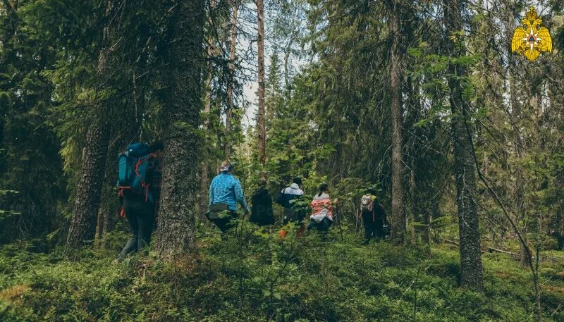 Походы в лесу фото Обезопасьте летний поход - зарегистрируйте группу в МЧС России