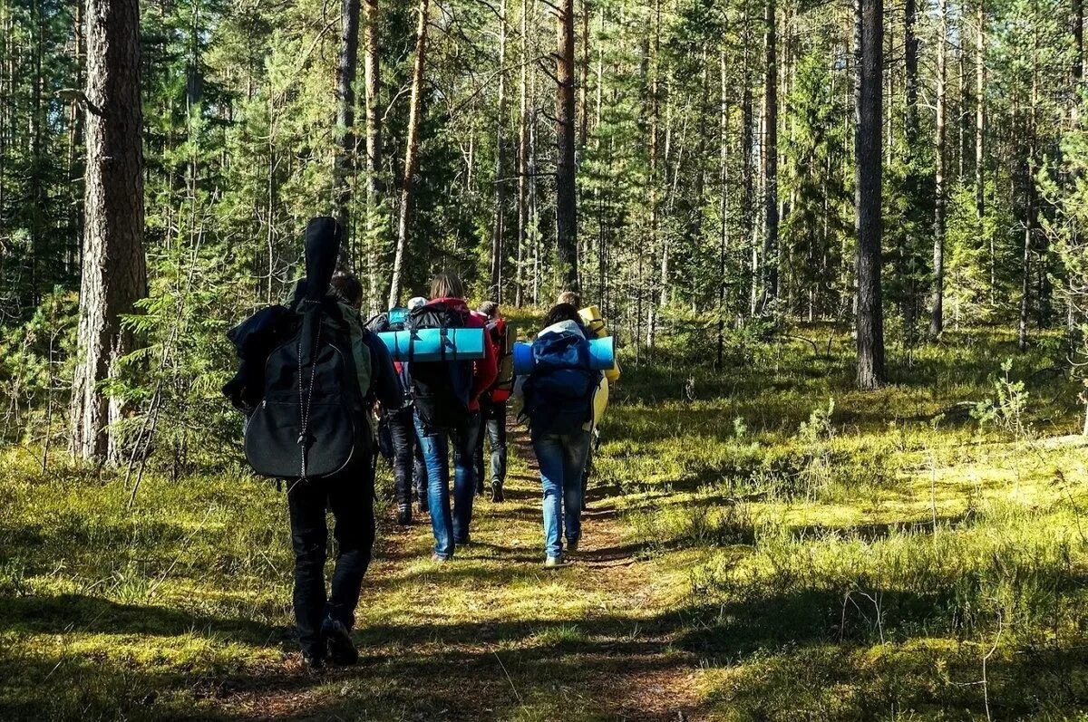 Походы в лесу фото Перед походом в лес важно знать - Новости - Главное управление МЧС России по Рес