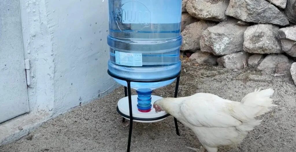 Поилки своими руками фото Автоматическая поилка для птицы своими руками Water bottle, Bottle, Plastic wate