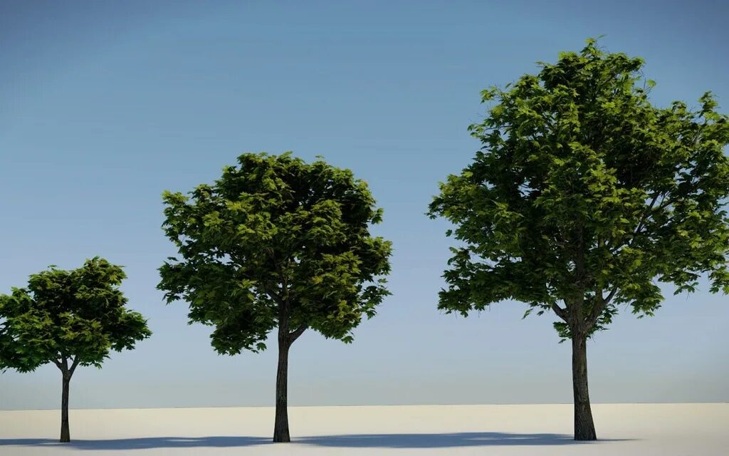 Поиск дерева по фото Tree with timelaps - Finished Projects - Blender Artists Community