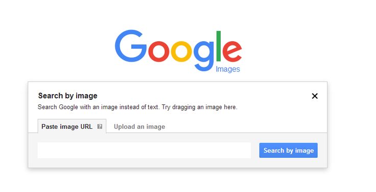 Поиск фото по номеру тг How to Search With an Image on Google Google reverse image search, Reverse image