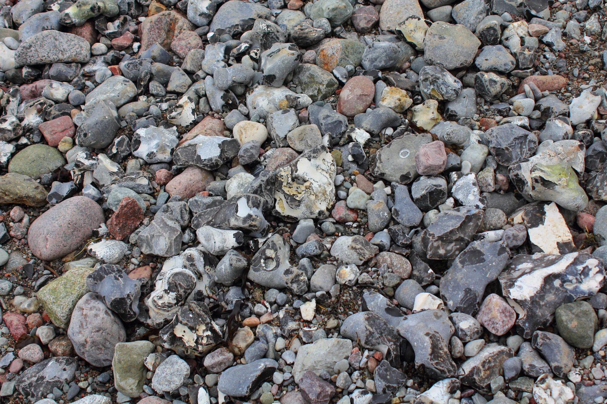 Поиск камня по фото File:Flint stones HC1.jpg - Wikimedia Commons