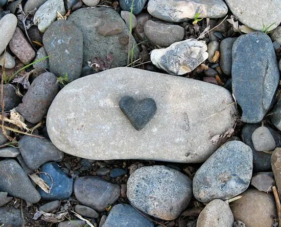 Поиск камня по фото A New Favorite Picnic Spot Heart shaped rocks, Stone heart, Heart shapes