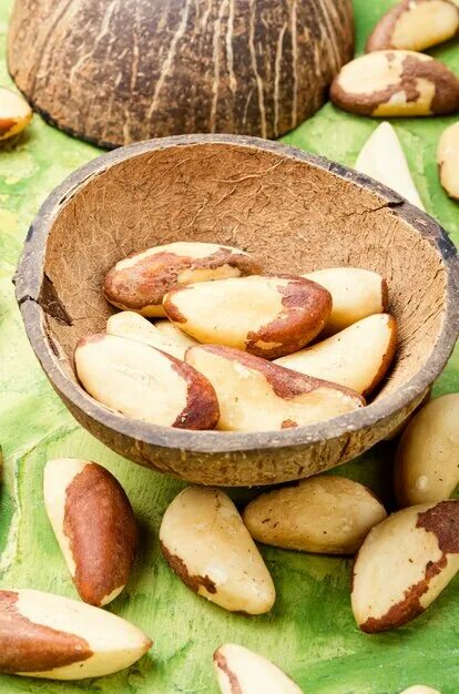 Показать бразильский орех фото Premium Photo Brazil nut or bertholletia