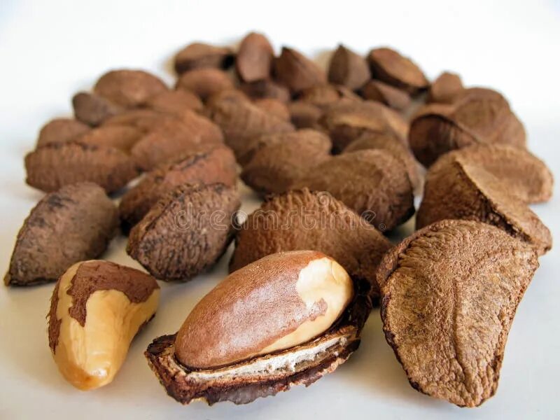 Показать бразильский орех фото Brazil Nuts in a Wooden Spoon Isolated on White Stock Photo - Image of excelsa, 