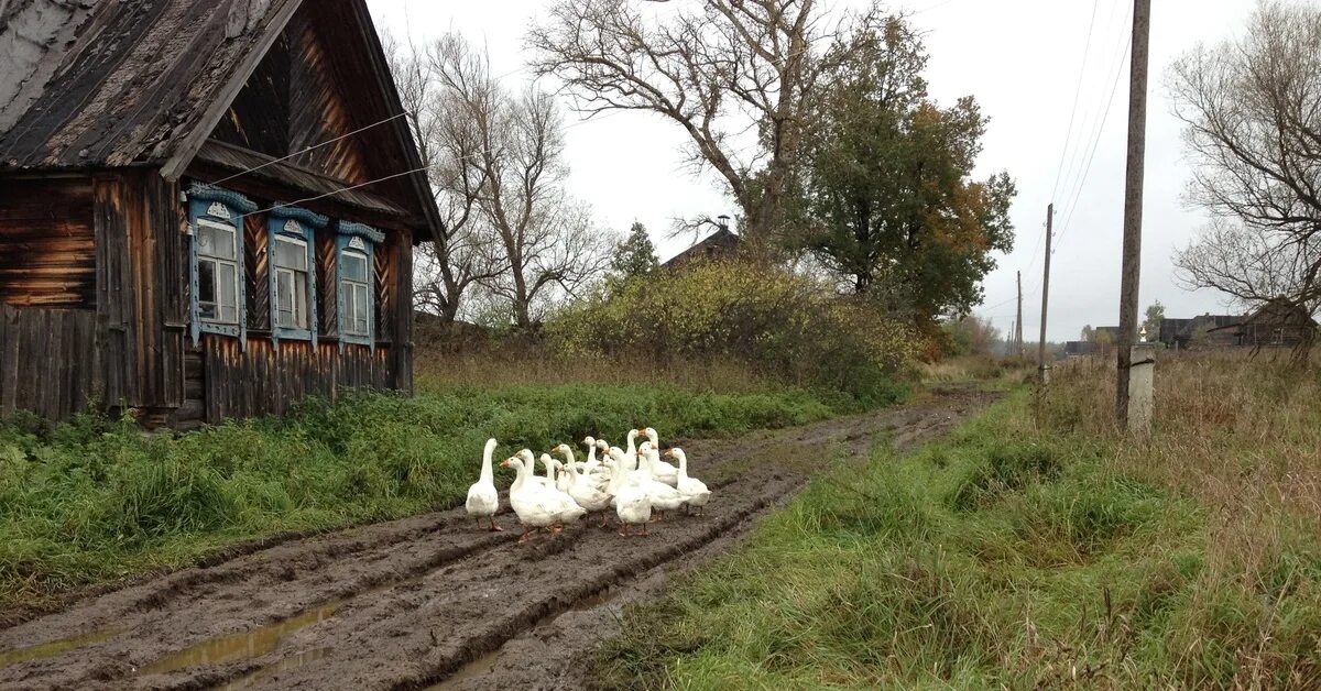 Показать деревню крутово владимирской фото и видео Деревня во Владимирской области Пикабу