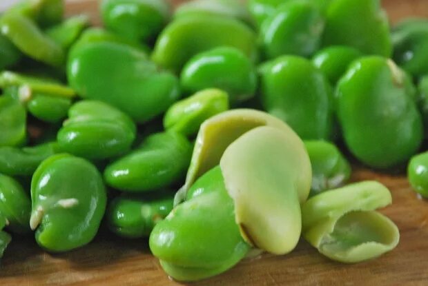 Показать фото бобов Fava Bean Protein Industry 2017: Global Market Outlook