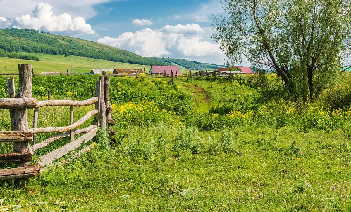 Показать фото деревни брюмбель Деревенское лето :: Любовь Потеряхина - Социальная сеть ФотоКто