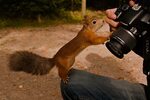 Показать фото дня Дай фотку покажу