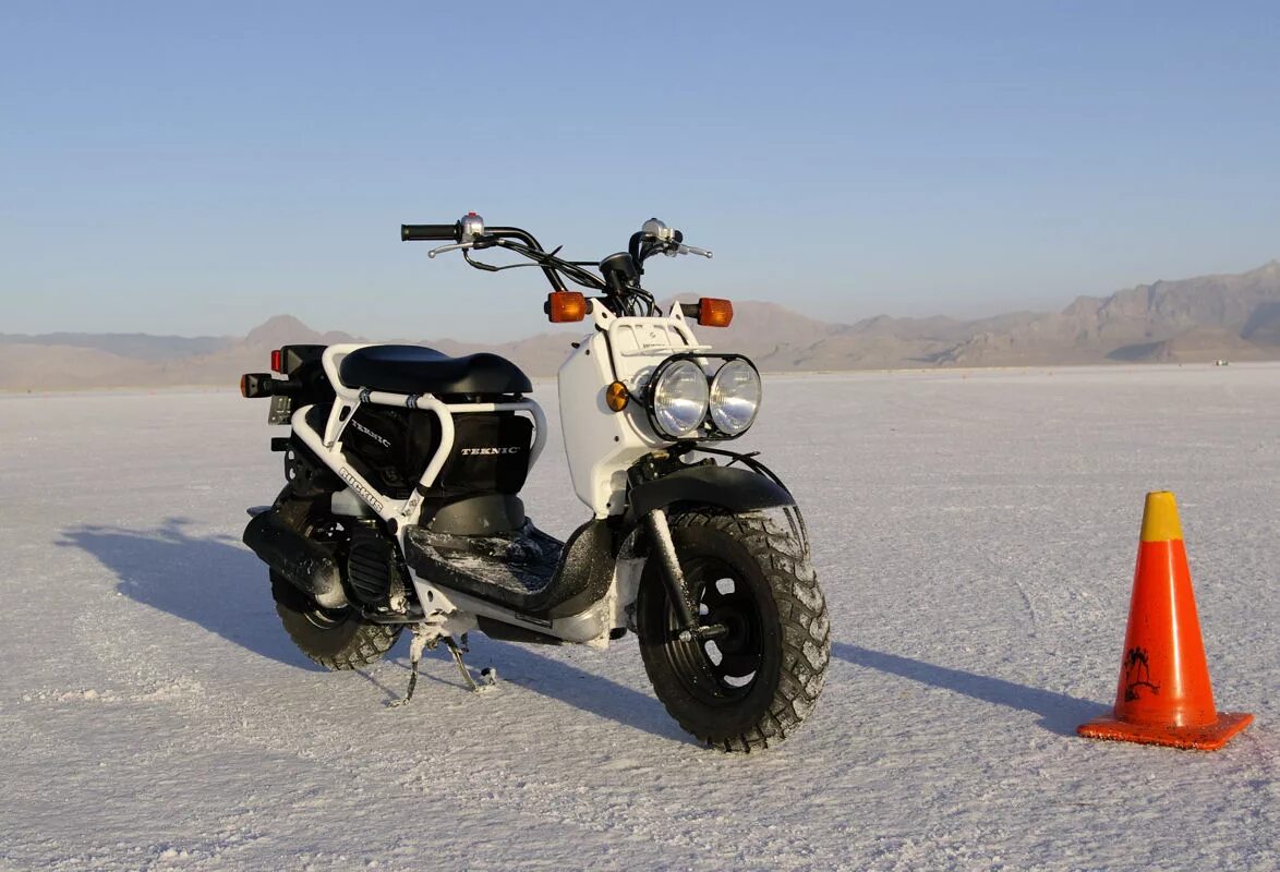 Показать фото крутых скутеров для бездорожья File:Honda Ruckus white.jpg - Wikipedia