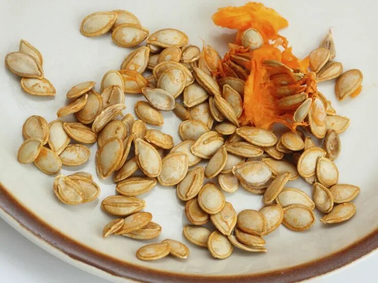 Показать фото приправы похожей на семена тыквы Roasting Pumpkin Seeds - Tips On Separating Pumpkin Seeds From Pulp