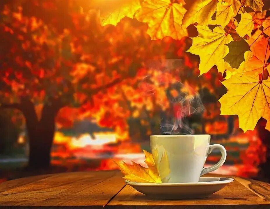 Показать картинки с добрым утром красивая осень Autumn Coffee Зображення - огляд 310,525 Стокові фото, векторні зображення й від