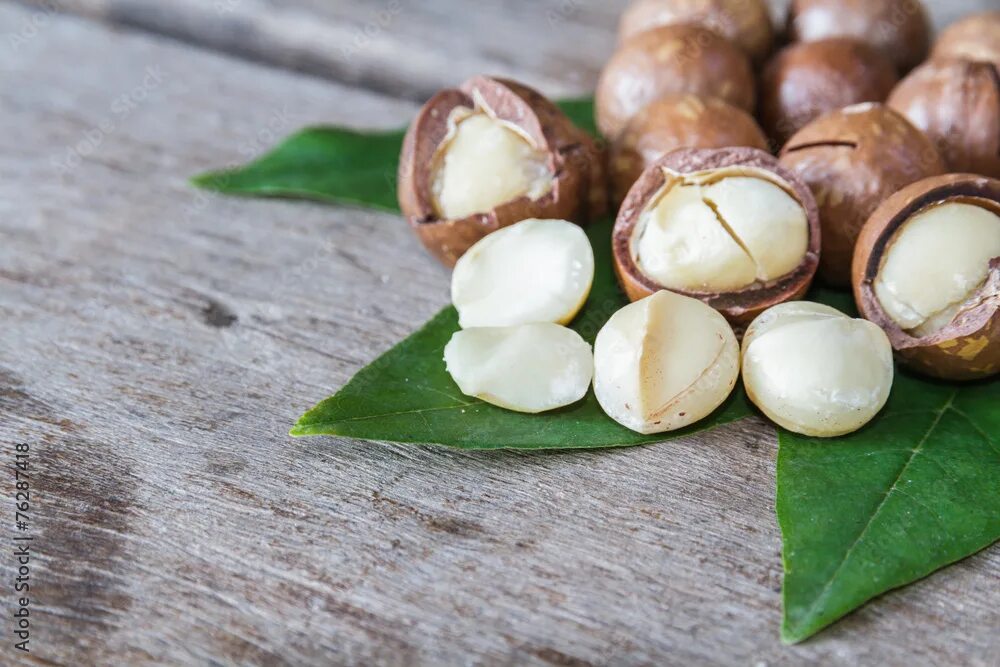 Показать орех макадамия фото The macadamia nut seed shell are visible inside the seed, resting on a green lea