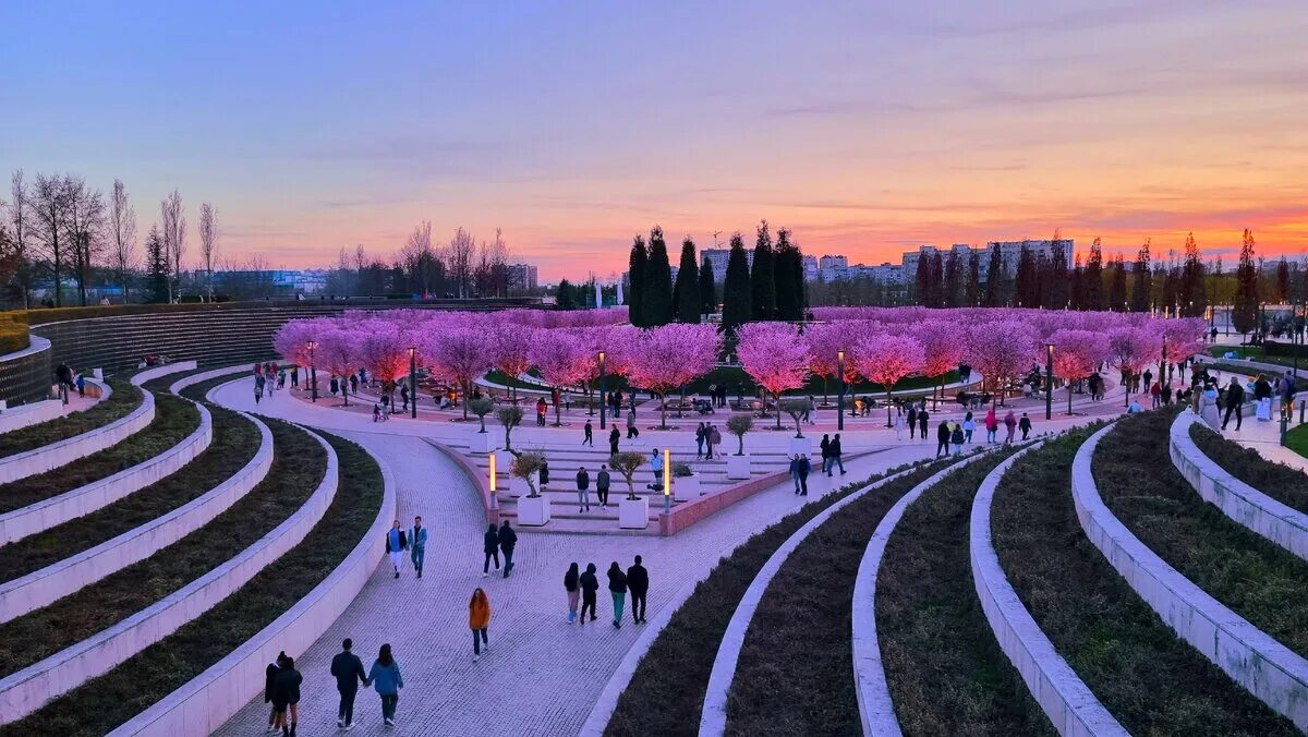 Показать парк в краснодаре фото и видео Цветение сливы в парке Галицкого в Краснодаре сегодня. За красивыми фоточками лю