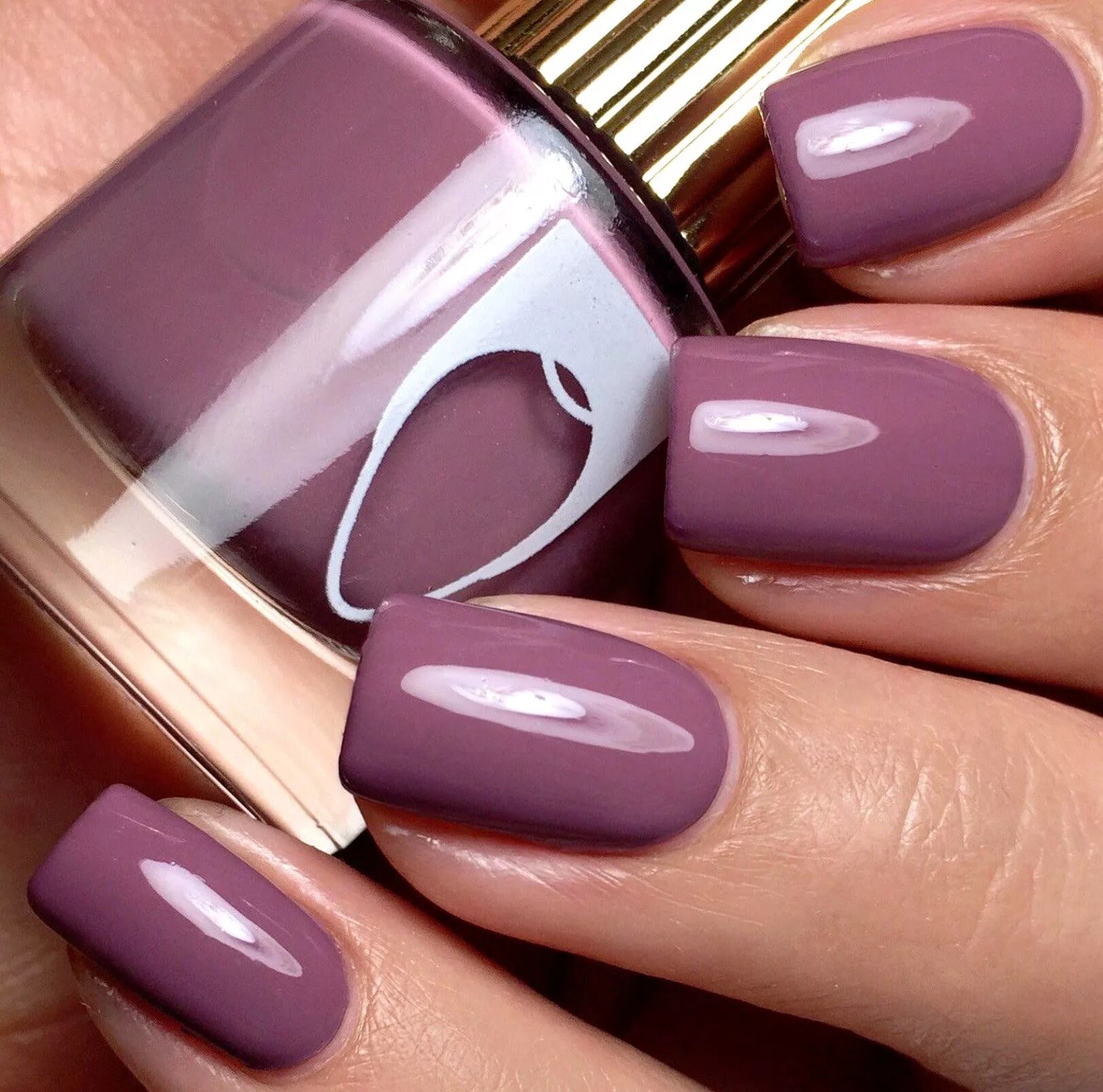 Показать цвета маникюра фото MAUVE WIVES #GelNailPolishColors Mauve nails, Cute nail colors, Nail colors