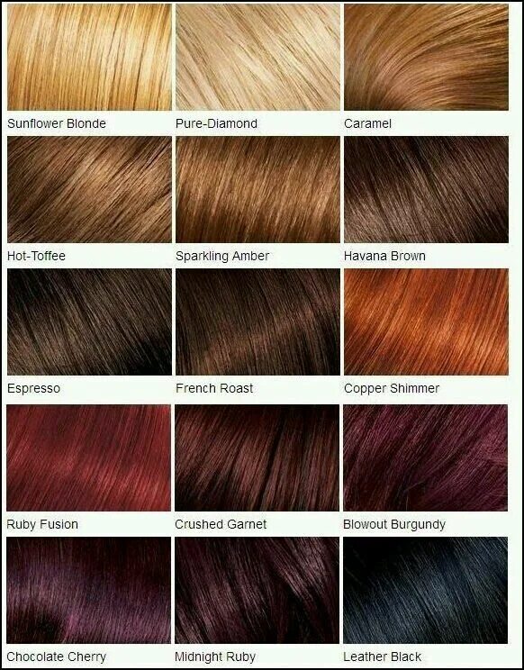 Показать цвета волос фото Color palette Hair color chart, Loreal hair, Red hair color chart