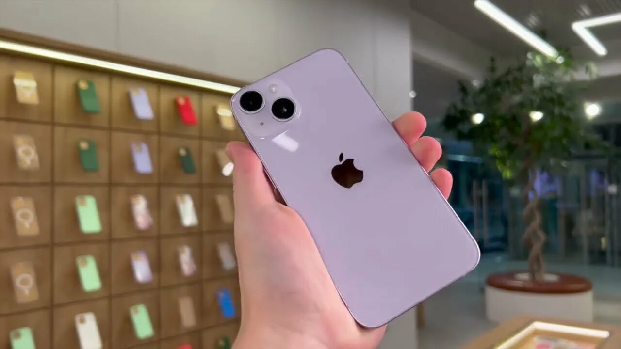 Покажи фото айфон 14 Apple iPhone 14 Purple - YouTube