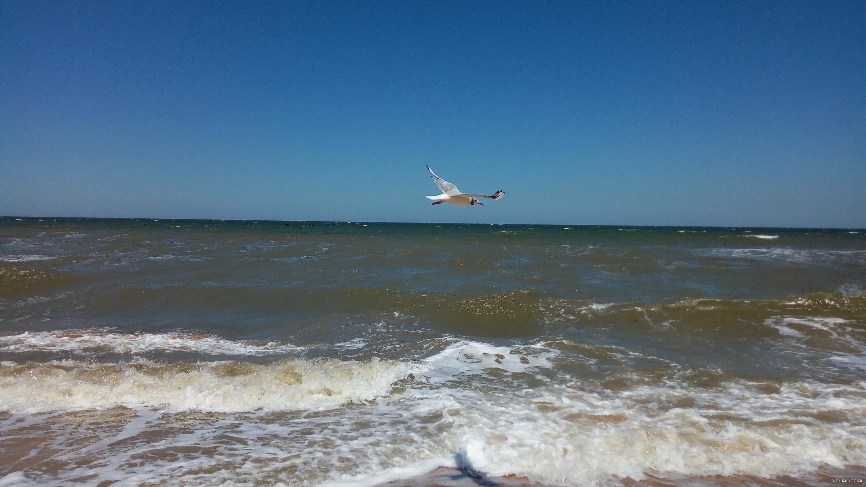 Покажи фото азовского моря Где отдохнуть азовском море черное море