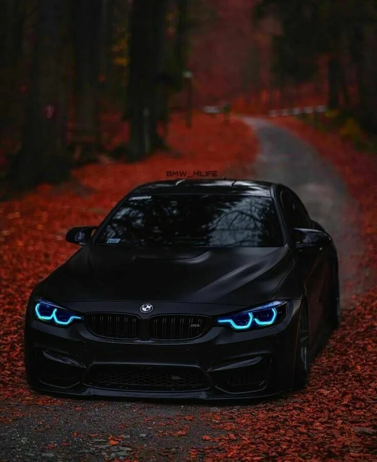 Покажи фото бмв Pin on *cars* Bmw, Dream cars bmw, Bmw m4