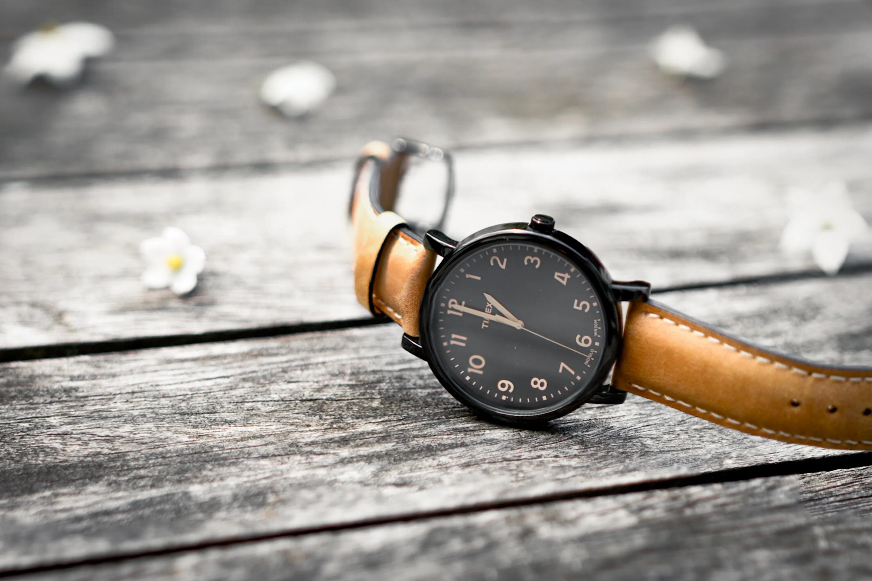 Покажи фото часов Wallpaper : black, leather, Canon, deutschland, eos, hessen, watch, 7d, timex, p
