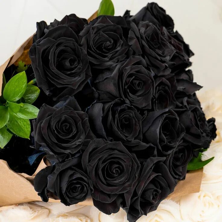 Покажи фото черного цвета 12 Black Roses Arranged in a Vase in Miami Beach, FL Miami Beach Flowers ® Black