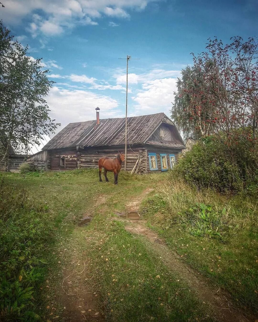 Покажи фото деревни Village of Vorox, Yaroslavl Region, Russia. Сельские виды, Деревенские фотографи