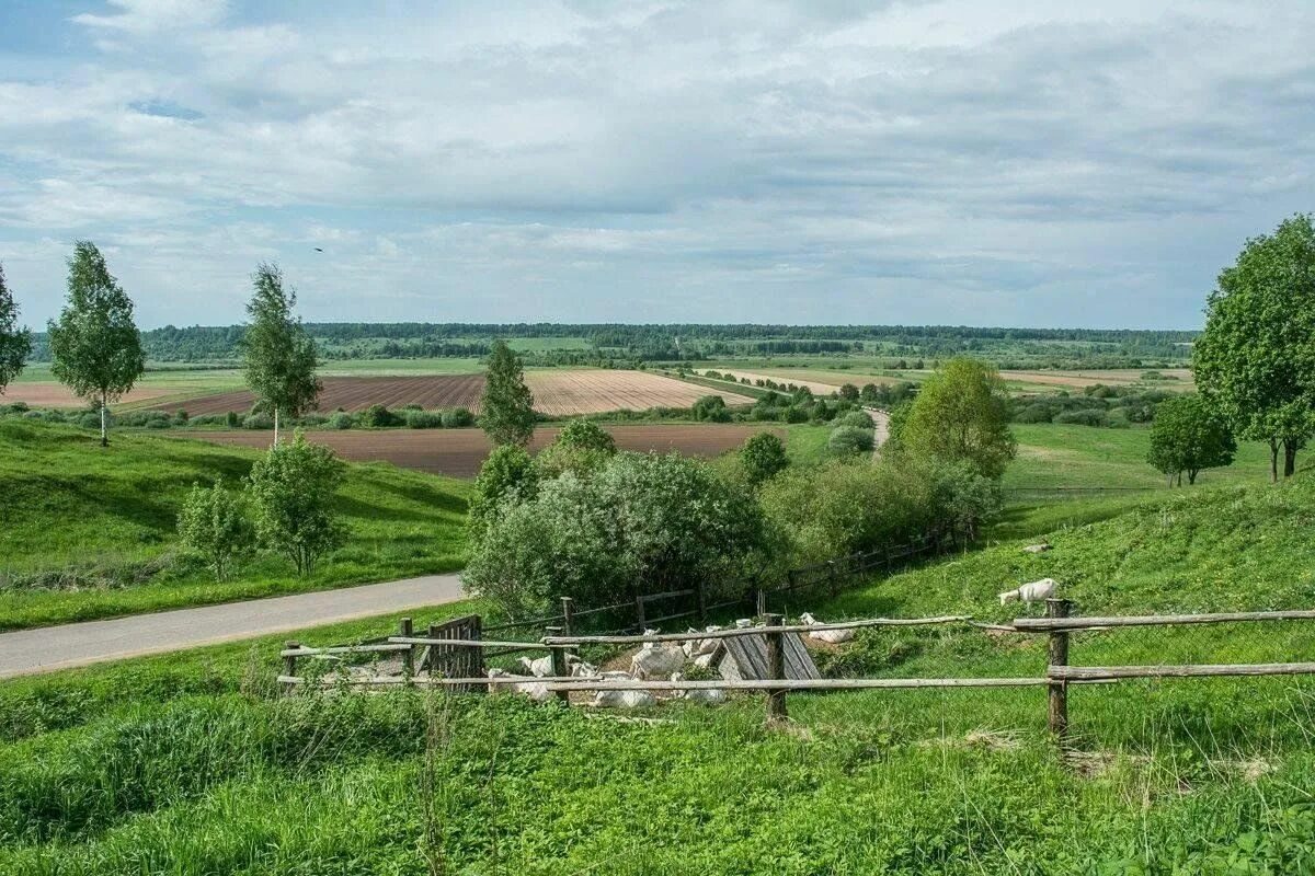 Покажи фото деревни светицы Виртуальная экскурсия "Я отсюда родом" 2024, Мишкинский район - дата и место про