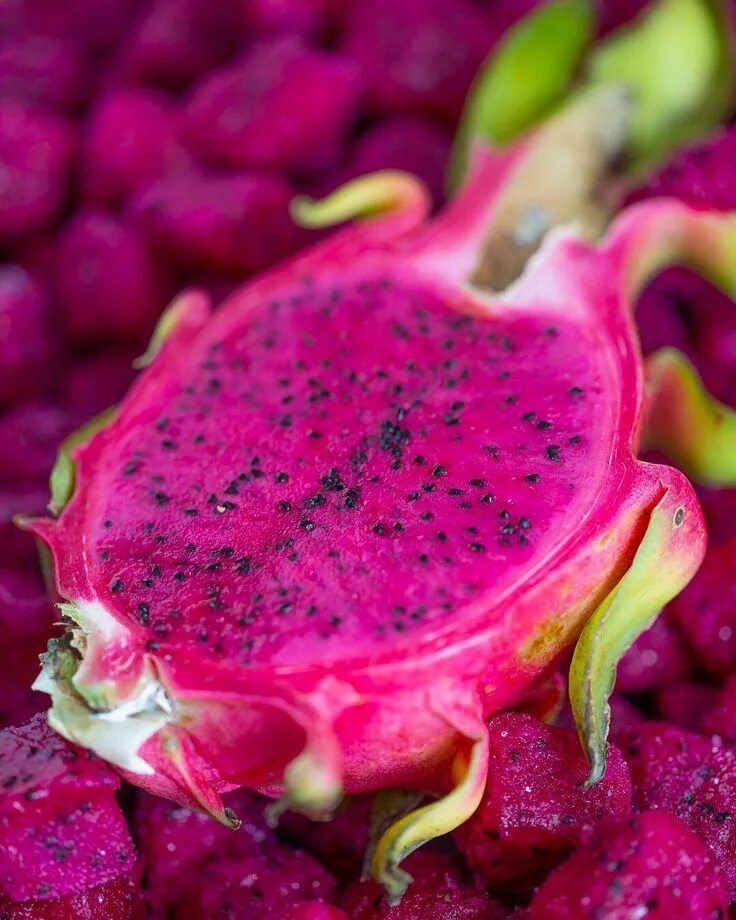 Покажи фото драгон фрукта Pin on Feedback IG Dragon fruit, Healthy fruit smoothies, Fruit