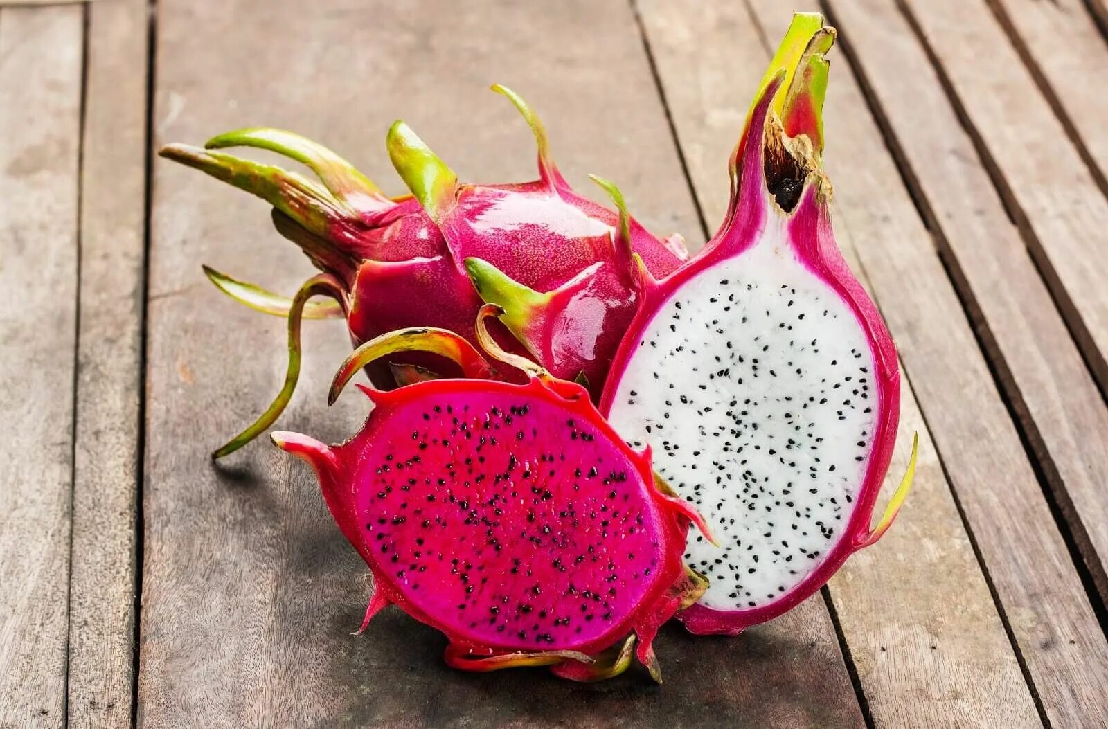 Покажи фото драконьего фрукта Como plantar e cultivar pitaya? Dicas práticas! - Blog da Plantei Dragon fruit, 