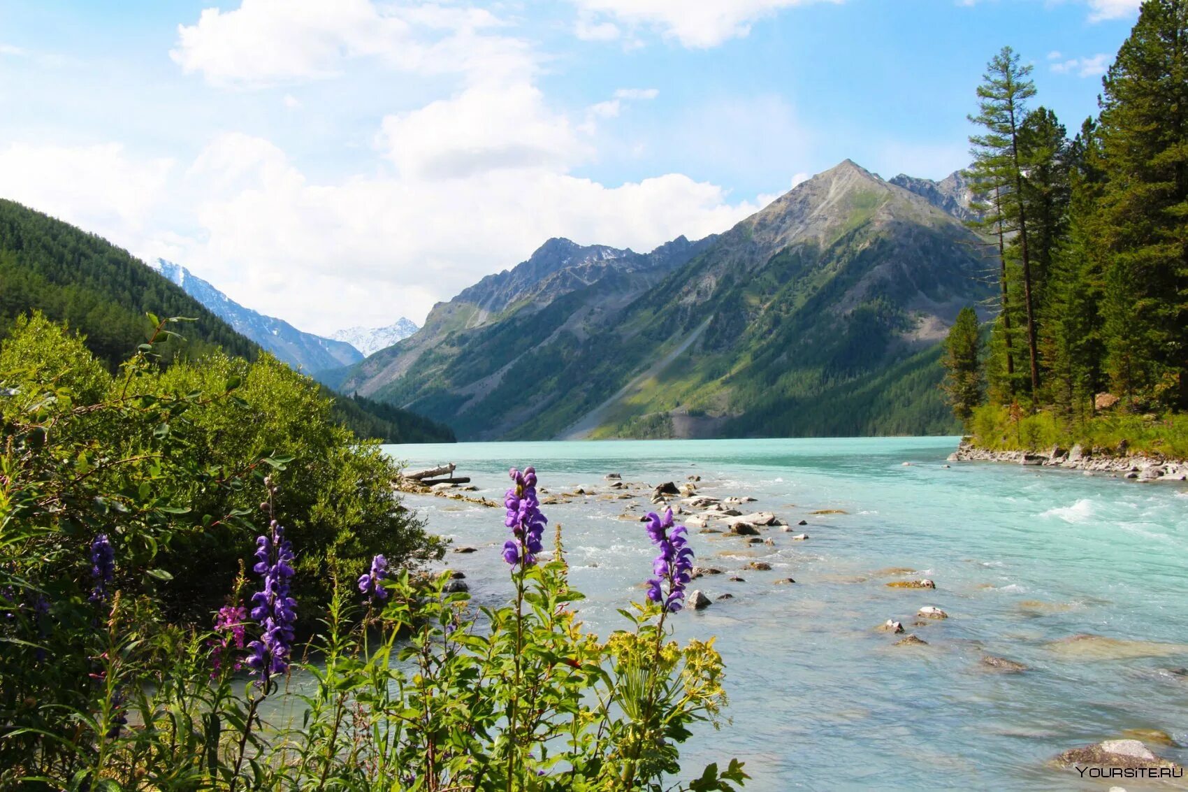 Покажи фото горного алтая Огненная радуга. Метла