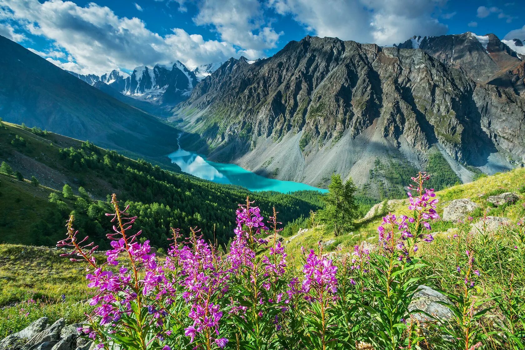 Покажи фото горного алтая Горный Алтай. Кругосветка за 5 дней - отдых по цене от 38 000 ₽ - YouTravel.Me