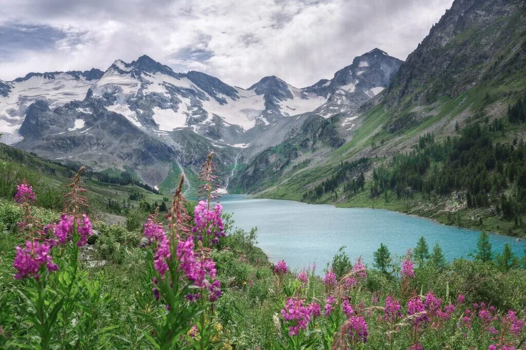 Покажи фото горного алтая Constellation, tour operator, selo Uznezya, Tsentralnaya ulitsa, 48 - Yandex Map