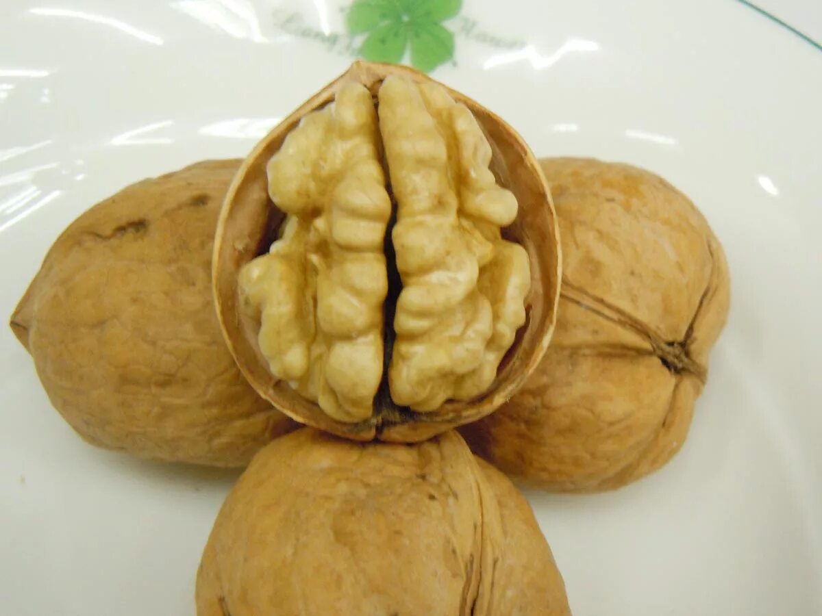 Покажи фото грецкого ореха 2014 new crop fresh walnut kernels products,China 2014 new crop fresh walnut ker