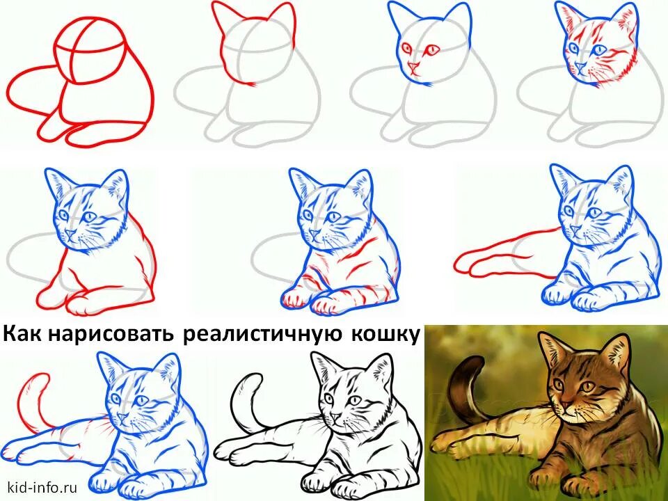 Покажи фото как нарисовать котика Как нарисовать кота картинки