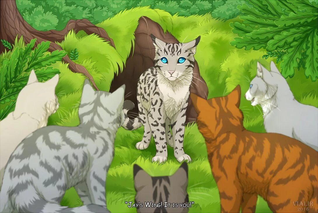 Покажи фото котов воителей Jays Wing by Vialir on DeviantArt Warrior cats, Warrior cats art, Warrior cat me