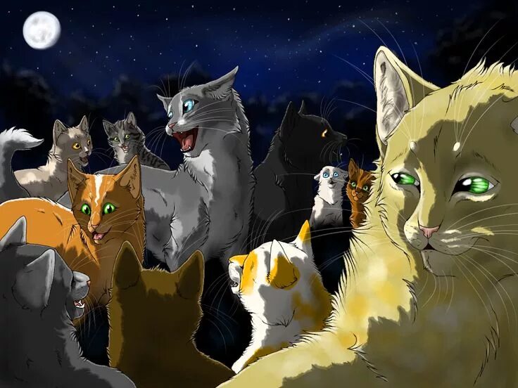 Покажи фото котов воителей WC Gathering Warrior cats, Warrior cat, Warrior