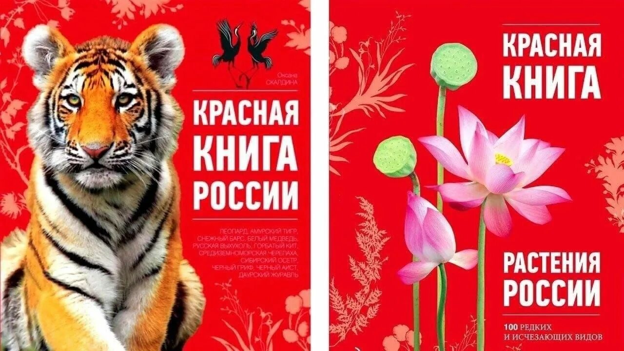 Покажи фото красной книги О чем рассказывает Красная книга" 2024, Кушнаренковский район - дата и место про